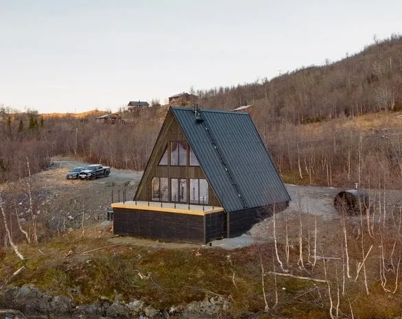 An image of Trio 100